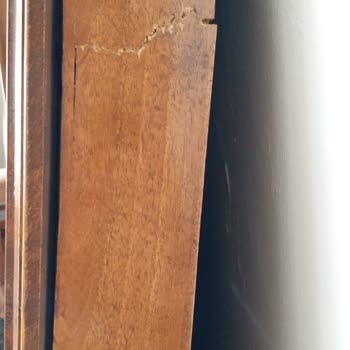 D-N-A Nakliyat Ambar Nakliye, DNA Nakliyat Şikayeti.