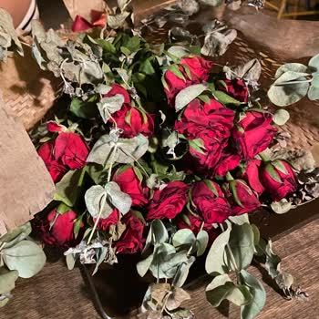 Çiçek Sepeti Teslim Saçmalığı Ve Çiçeğin Durumu