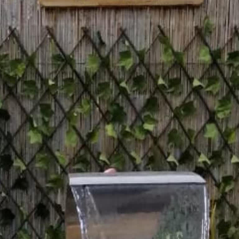 Pago Villa Sapanca'da Hayal Kırıklığı Yaşadık