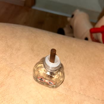 Raid Tehlikeli Sinek Kovucu: Yangın Riski Ve Etkisizlik