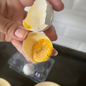 A101 Organik Diye Aldığım Bozuk Yumurtalar