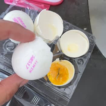 A101 Organik Diye Aldığım Bozuk Yumurtalar