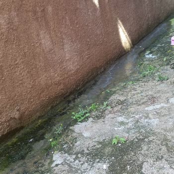 Çankaya İlçe Sağlık Müdürlüğü Cevre Ve İnsan Sağlığını Etkileyen Kanalizasyon Arızası