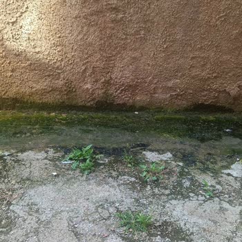 Çankaya İlçe Sağlık Müdürlüğü Cevre Ve İnsan Sağlığını Etkileyen Kanalizasyon Arızası