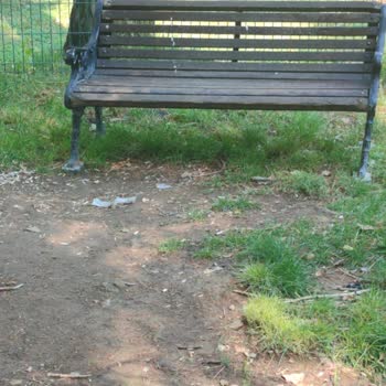 Pamukkale Belediyesi İncilipınar Parkı İçindeki Köpek Yeri