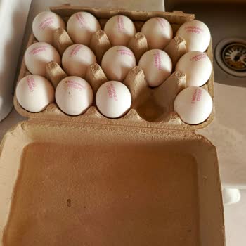 BİM'den Aldığımız Bili Bili 15 Li Yumurtadan 1 Tane Eksik Çıktı