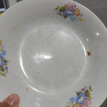 Profilo Servisi Garantisi Devam Eden Üründen Para Talep Ediyor