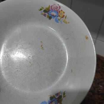 Profilo Servisi Garantisi Devam Eden Üründen Para Talep Ediyor