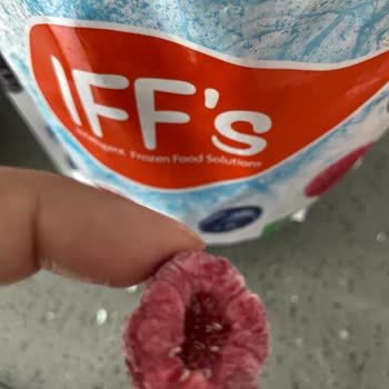 BİM'den Aldığım Dondurulmuş Meyveler Kurtlu Çıktı!