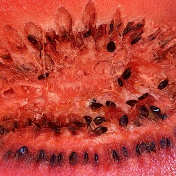 A101 Marketleri Kendini Uyanık Zannediyor