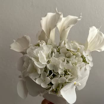 Gelincicegi_flora Sayfası Yalan Söylüyor