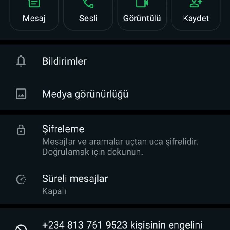 WhatsApp +234 İle Başlayan WhatsApp Aramaları