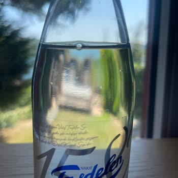 Vakıf Taşdelen Su Suyun İçinde Organizma Var