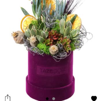 Taze Çiçek (tazecicek.com) Yanlış Çiçek Gönderimi Ve Yetersiz Telafi