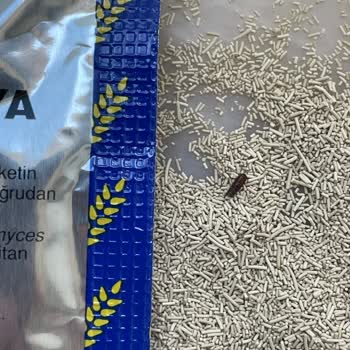 BİM Efsane Markalı İnstat Mayadan Böcek Çıktı