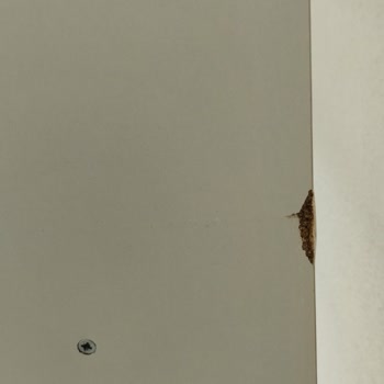 A101 Para İademi İstiyorum