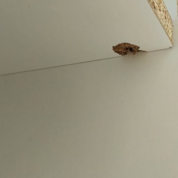 A101 Para İademi İstiyorum