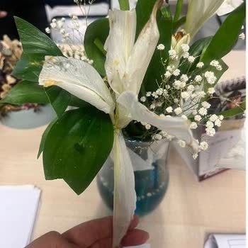 Çiçek Sepeti Canlı Destek Ve Çiçek Sepeti Müşteri Hizmetleri