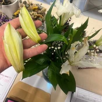 Çiçek Sepeti Canlı Destek Ve Çiçek Sepeti Müşteri Hizmetleri