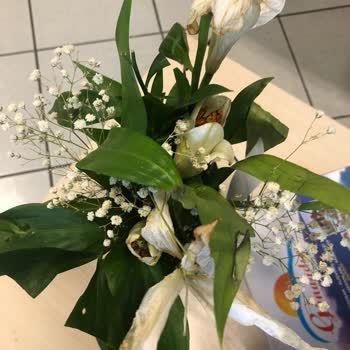 Çiçek Sepeti Canlı Destek Ve Çiçek Sepeti Müşteri Hizmetleri