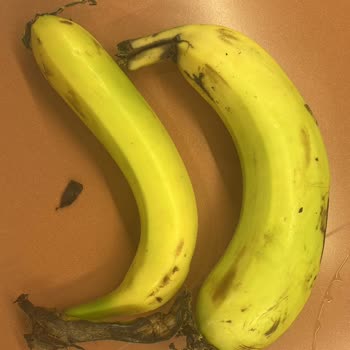 Migros Online Ürünlerinin Vasatlığı Ve Kötü Poşetlenmesi!