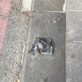 Sarıyer Belediyesinin İhmalkarlığı