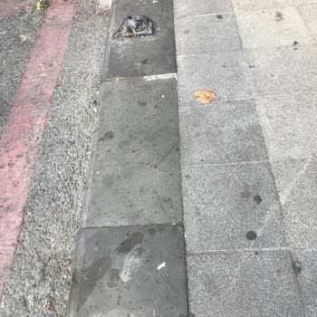 İBB - İstanbul Büyükşehir Belediyesi Sarıyer Belediyesinin İhmalkarlığı