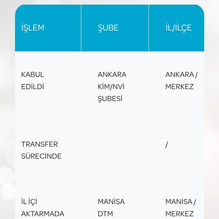 PTT Kargo Manisa Alaşehir PTT Sorumsuzluk Diz Boyu
