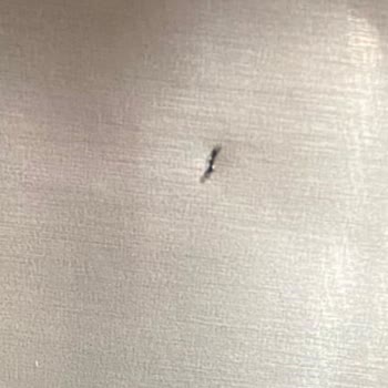 Samsung Bu Dolabım Tamire Gittikten Sonra Problem Çoğaldı.