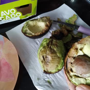 Migros Sanal Market Bozuk Tavuk Ve Küflü Avokado Gönderdi