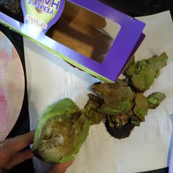 Migros Sanal Market Bozuk Tavuk Ve Küflü Avokado Gönderdi