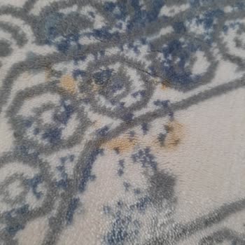 Güven Halı Yıkama (Balıkesir) Paranız Cop Olsun İstemiyorsanız Asla Gitme Yn