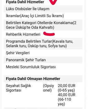 Tatil Sepeti İzni Olmayan Rehber Çalıştırıyor!