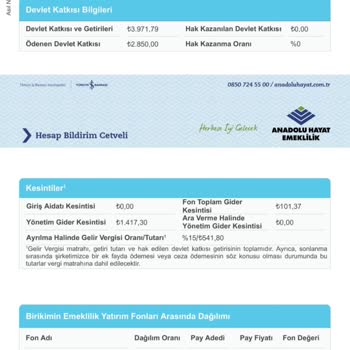 Anadolu Hayat Emeklilik Ertelenmiş Giriş Aidatı