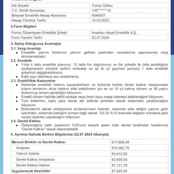 Anadolu Hayat Emeklilik Ertelenmiş Giriş Aidatı