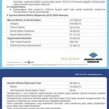 Anadolu Hayat Emeklilik Ertelenmiş Giriş Aidatı