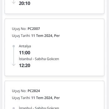 Pegasus Bitmeyen Rötar Sorunu.