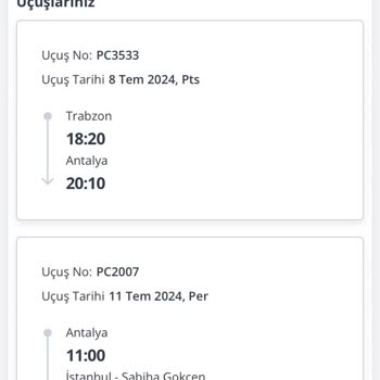 Pegasus Bitmeyen Rötar Sorunu.