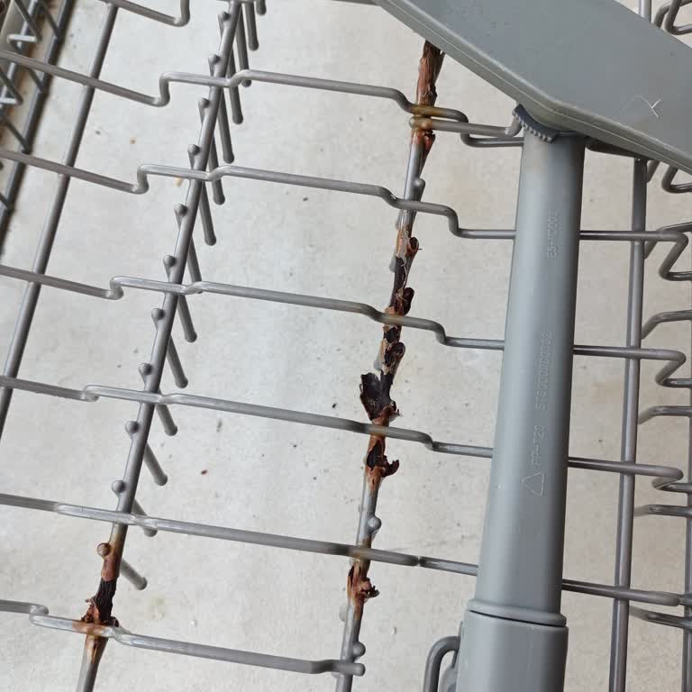 Franke Bulaşık Mak. Sepetlerinin Paslanma Sorunu.