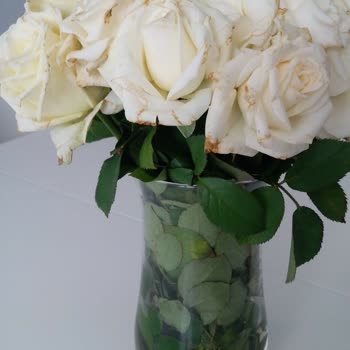 ÇiçekSepeti Solmuş Sararmış Çiçekler