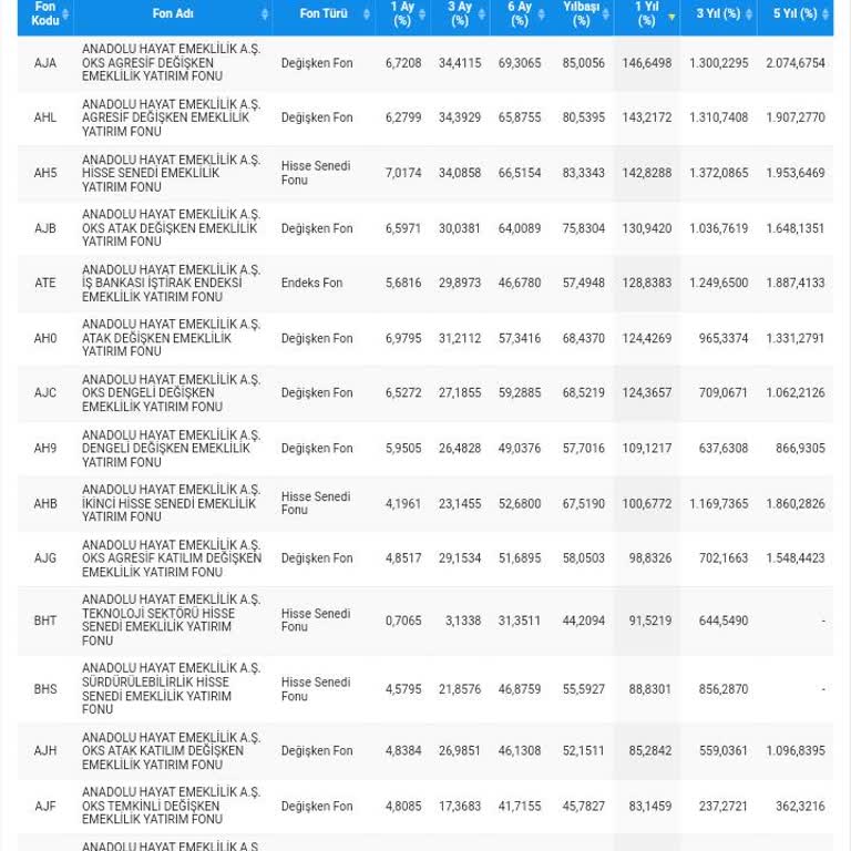 Türkiye Hayat Emeklilik Türkiye BES Fon Problem