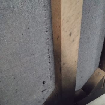 Vivense Koltuk Takımında Tahta Kurusu