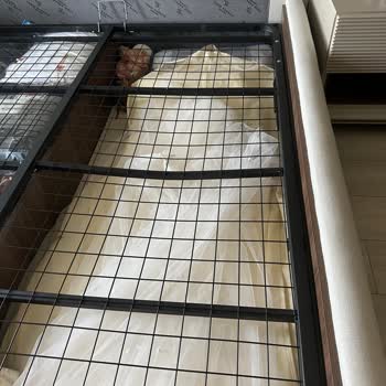 Vivense Ürünlerin Arkasında Durmuyor