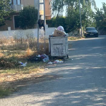 Silivri Belediyesi Sokak Kirliliği, Çöplerin Alınmaması, Konteyner Eksikliği, Çukurluklar