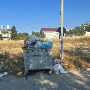 Silivri Belediyesi Sokak Kirliliği, Çöplerin Alınmaması, Konteyner Eksikliği, Çukurluklar