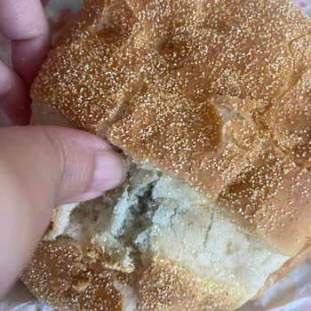 Burger King Moldy Chicken Sandwich Complaint