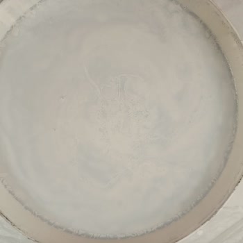 Bauhaus Wandfarbe 'Biance Salut' enttäuschende Qualität und unzuverlässige Verkaufsberatung