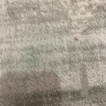 Kuzey Halı Yıkama Halılar Lekeli Geldi