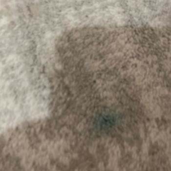 Kuzey Halı Yıkama Halılar Lekeli Geldi