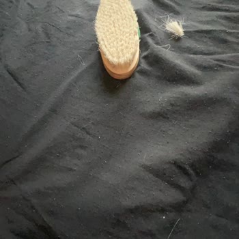 Nascita At Kılı Fırçası Dökülüyor